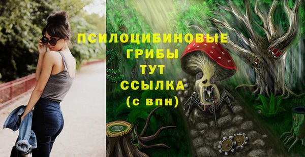таблы Алзамай